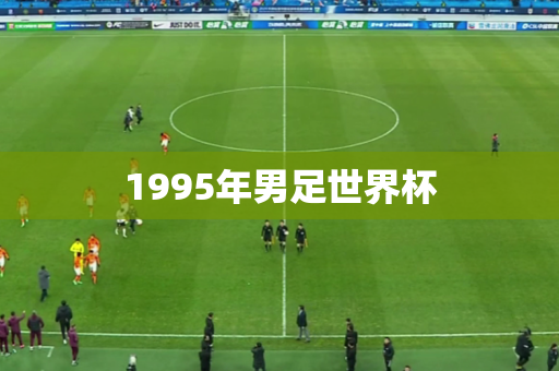 1995年男足世界杯