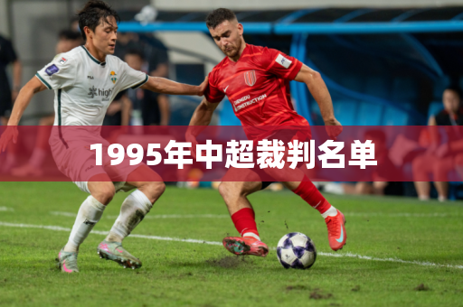 1995年中超裁判名单 1995年中超裁判名单