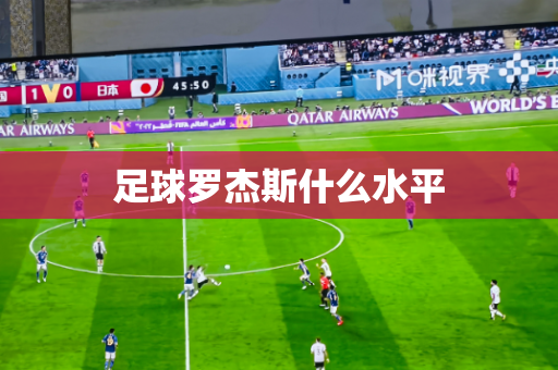 足球罗杰斯什么水平 足球罗杰斯什么水平
