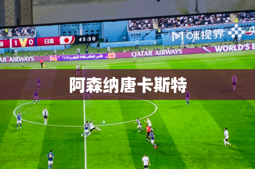 阿森纳唐卡斯特 阿森纳唐卡斯特