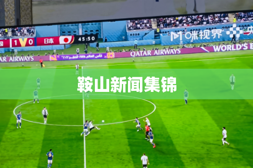 鞍山新闻集锦