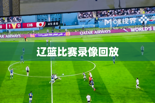辽篮比赛录像回放