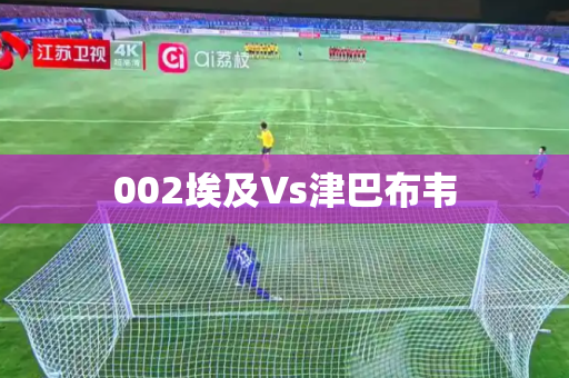 002埃及Vs津巴布韦