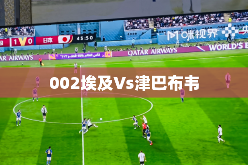 002埃及Vs津巴布韦
