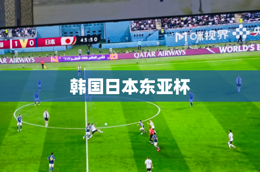 韩国日本东亚杯 韩国日本东亚杯