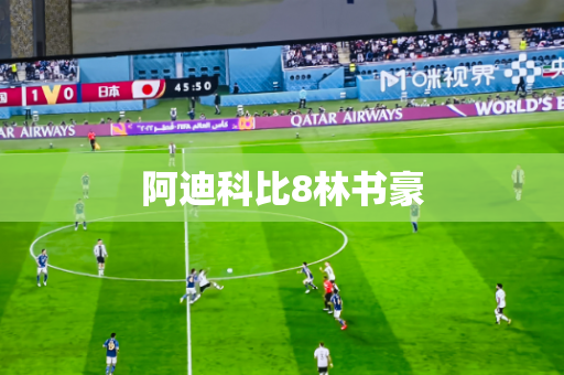 阿迪科比8林书豪
