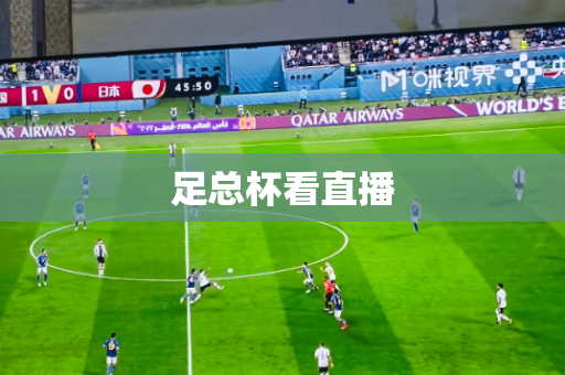 足总杯看直播