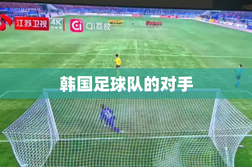 韩国足球队的对手