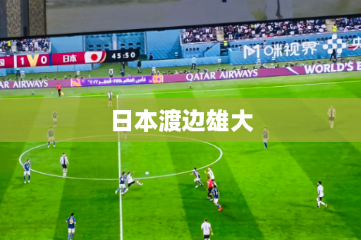 日本渡边雄大 日本渡边雄大