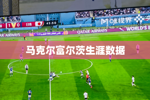 马克尔富尔茨生涯数据