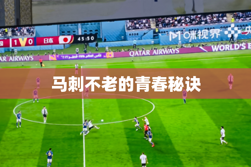马刺不老的青春秘诀