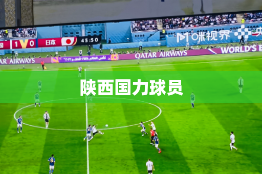 陕西国力球员