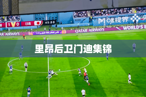 里昂后卫门迪集锦 里昂后卫门迪集锦