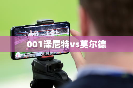 001泽尼特vs莫尔德