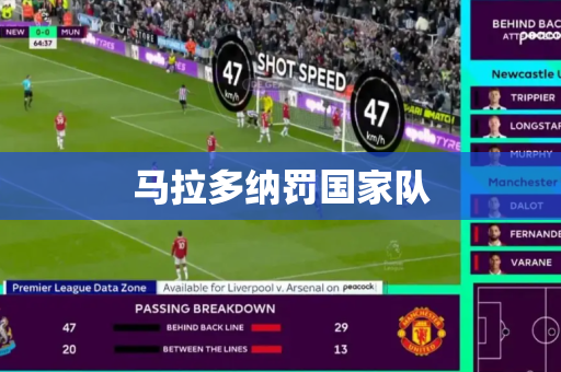马拉多纳罚国家队