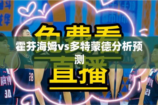 霍芬海姆vs多特蒙德分析预测