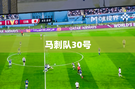马刺队30号