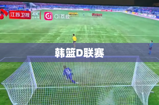 韩篮D联赛 韩篮D联赛