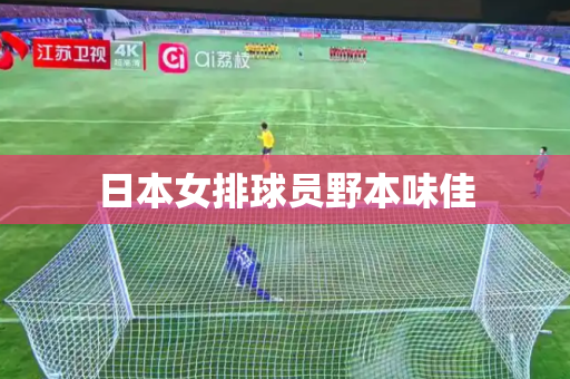 日本女排球员野本味佳