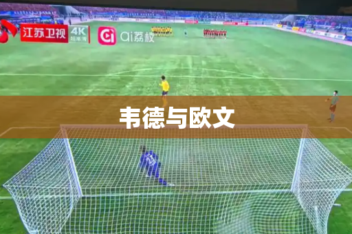 韦德与欧文