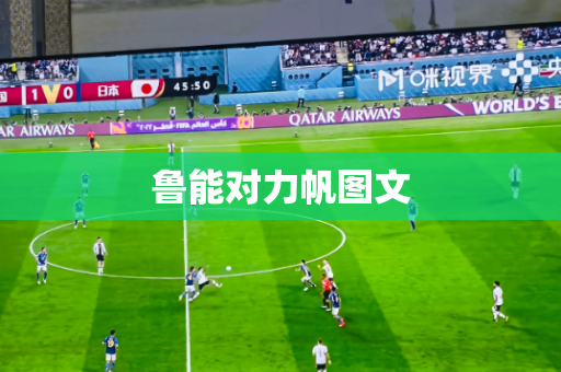 鲁能对力帆图文