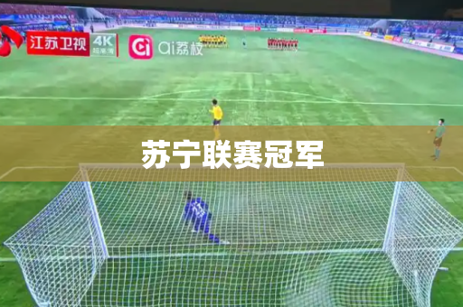 苏宁联赛冠军