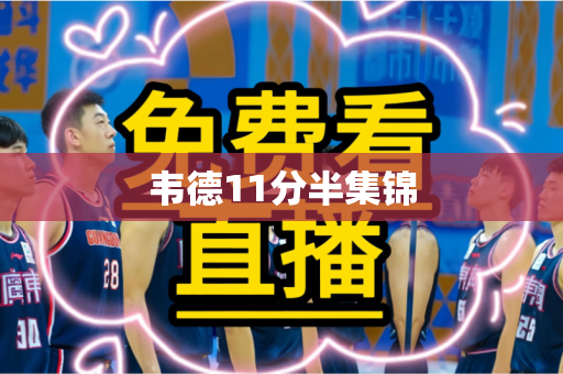 韦德11分半集锦 韦德11分半集锦