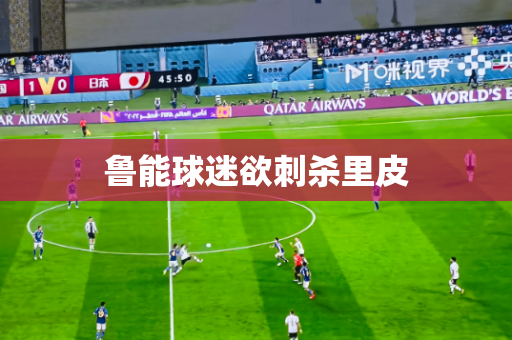 鲁能球迷欲刺杀里皮 鲁能球迷欲刺杀里皮