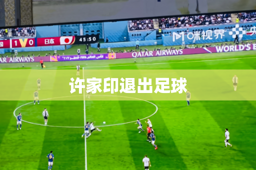 许家印退出足球 许家印退出足球