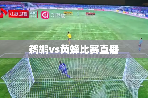 鹈鹕vs黄蜂比赛直播