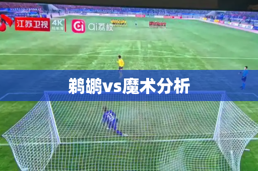 鹈鹕vs魔术分析 鹈鹕vs魔术分析