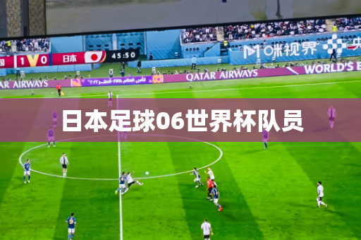 日本足球06世界杯队员 日本足球06世界杯队员