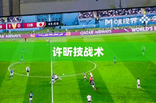 许昕技战术 许昕技战术