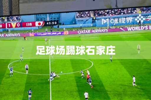 足球场踢球石家庄
