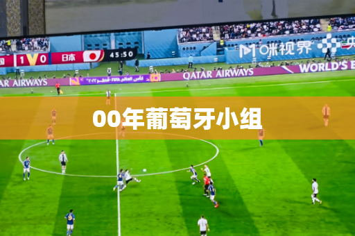 00年葡萄牙小组