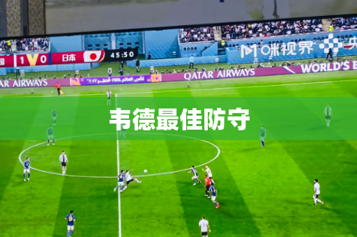 韦德最佳防守