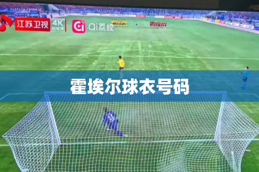 霍埃尔球衣号码 霍埃尔球衣号码