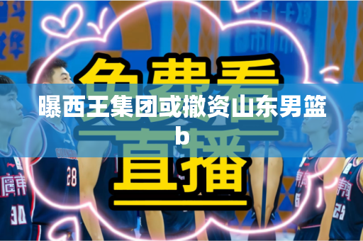 曝西王集团或撤资山东男篮b