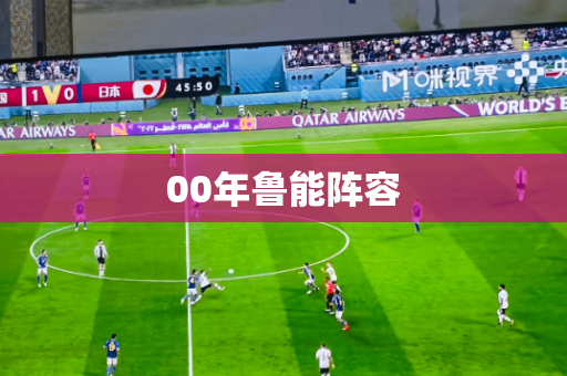 00年鲁能阵容 00年鲁能阵容