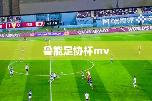 鲁能足协杯mv 鲁能足协杯mv