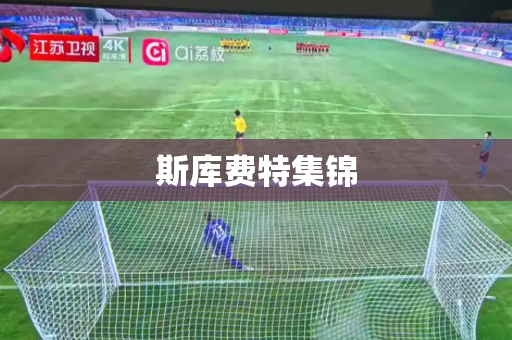 斯库费特集锦