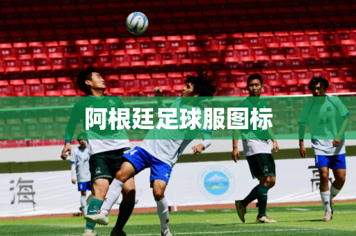 阿根廷足球服图标 阿根廷足球服图标