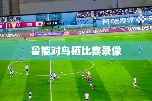 鲁能对鸟栖比赛录像 鲁能对鸟栖比赛录像