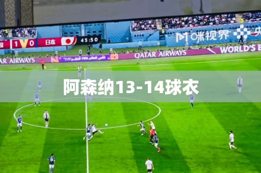 阿森纳13-14球衣 阿森纳13-14球衣