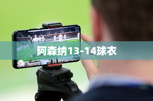阿森纳13-14球衣