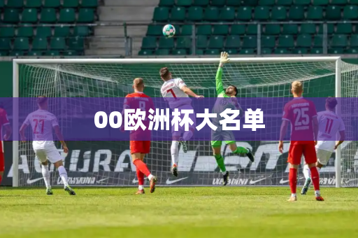 00欧洲杯大名单 00欧洲杯大名单