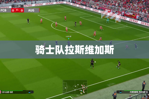 骑士队拉斯维加斯 骑士队拉斯维加斯