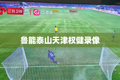 鲁能泰山天津权健录像