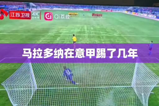马拉多纳在意甲踢了几年 马拉多纳在意甲踢了几年