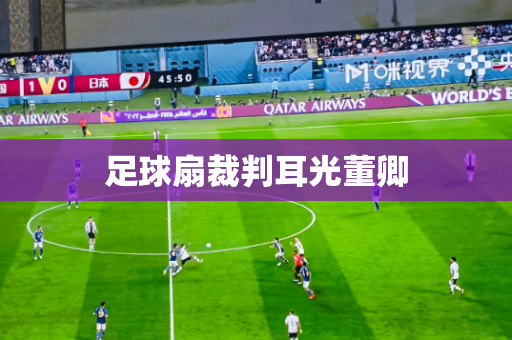 足球扇裁判耳光董卿 足球扇裁判耳光董卿
